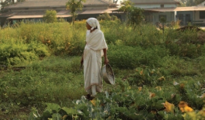 Nun in garden at Vinoba Ashram