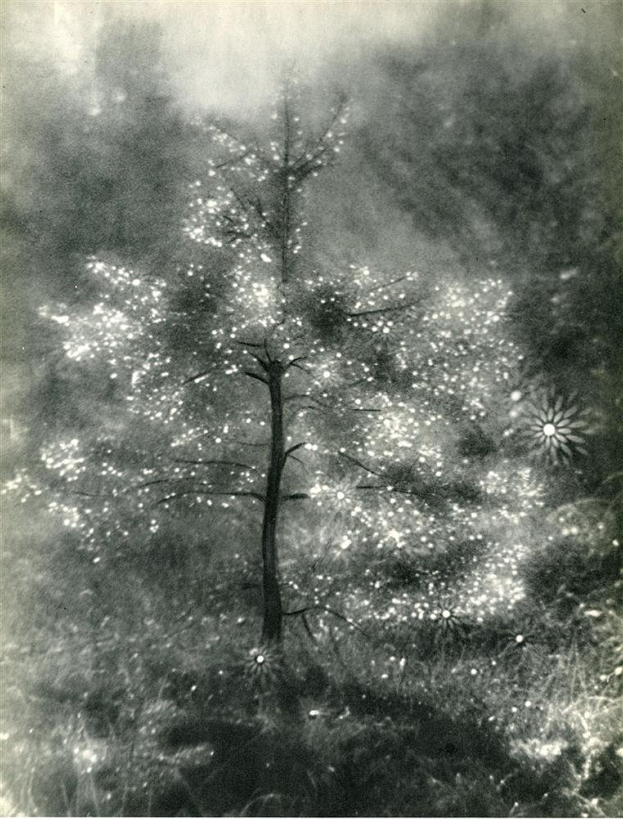Josef Breitenbach (German American, 1896-1984), "Illuminated Tree"