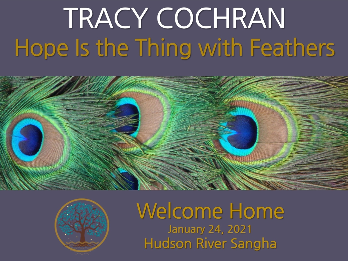 Hope is the Thing with Feathers: a guided meditation
