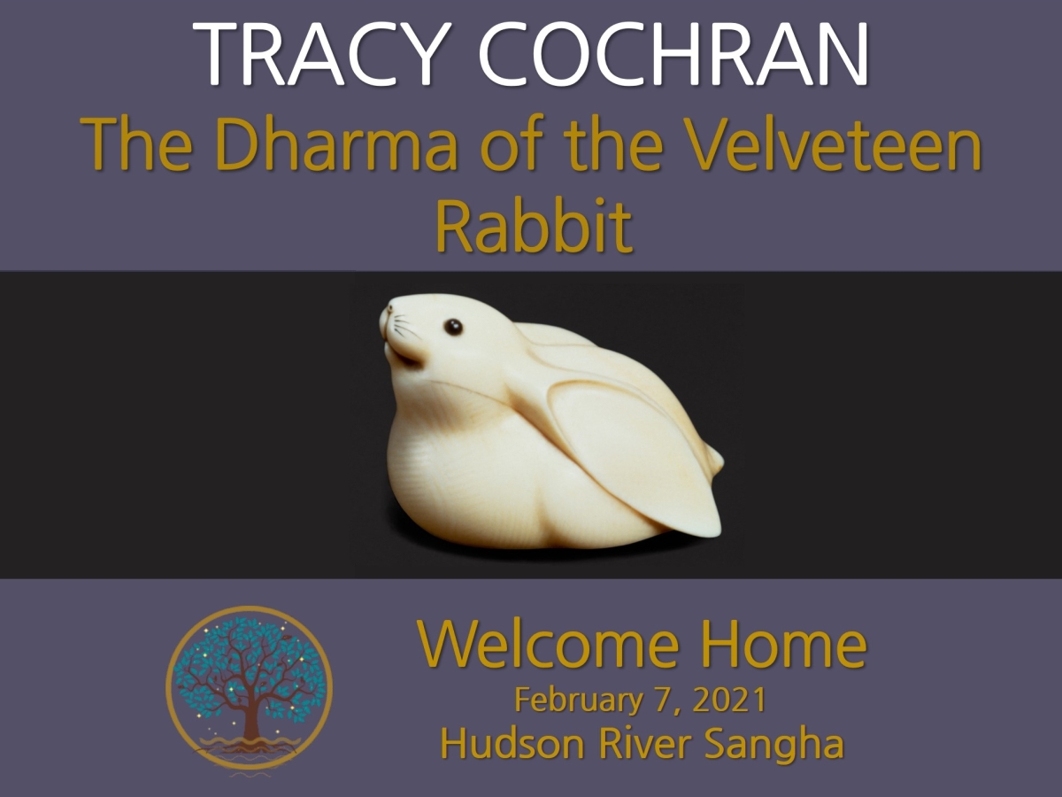 The Dharma of the Velveteen Rabbit: a guided meditation
