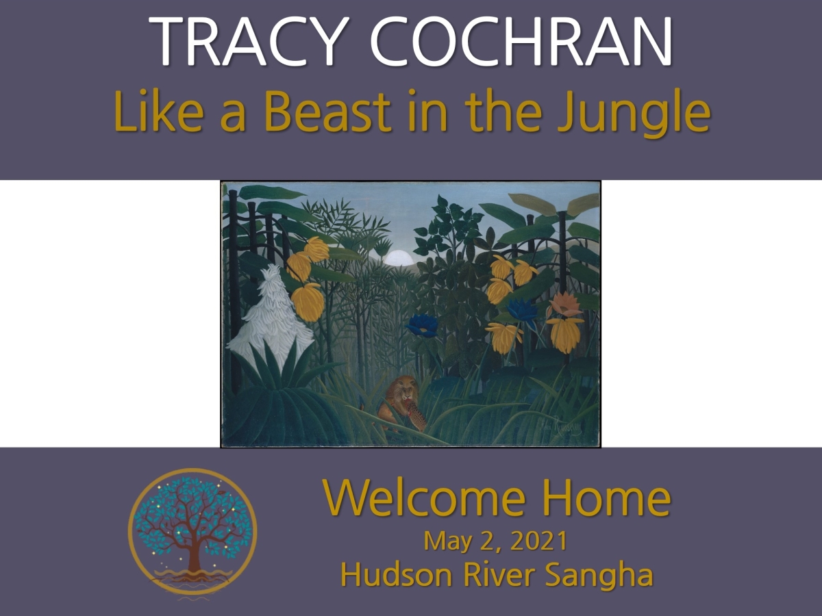 Like a Beast in the Jungle: a guided mediation
