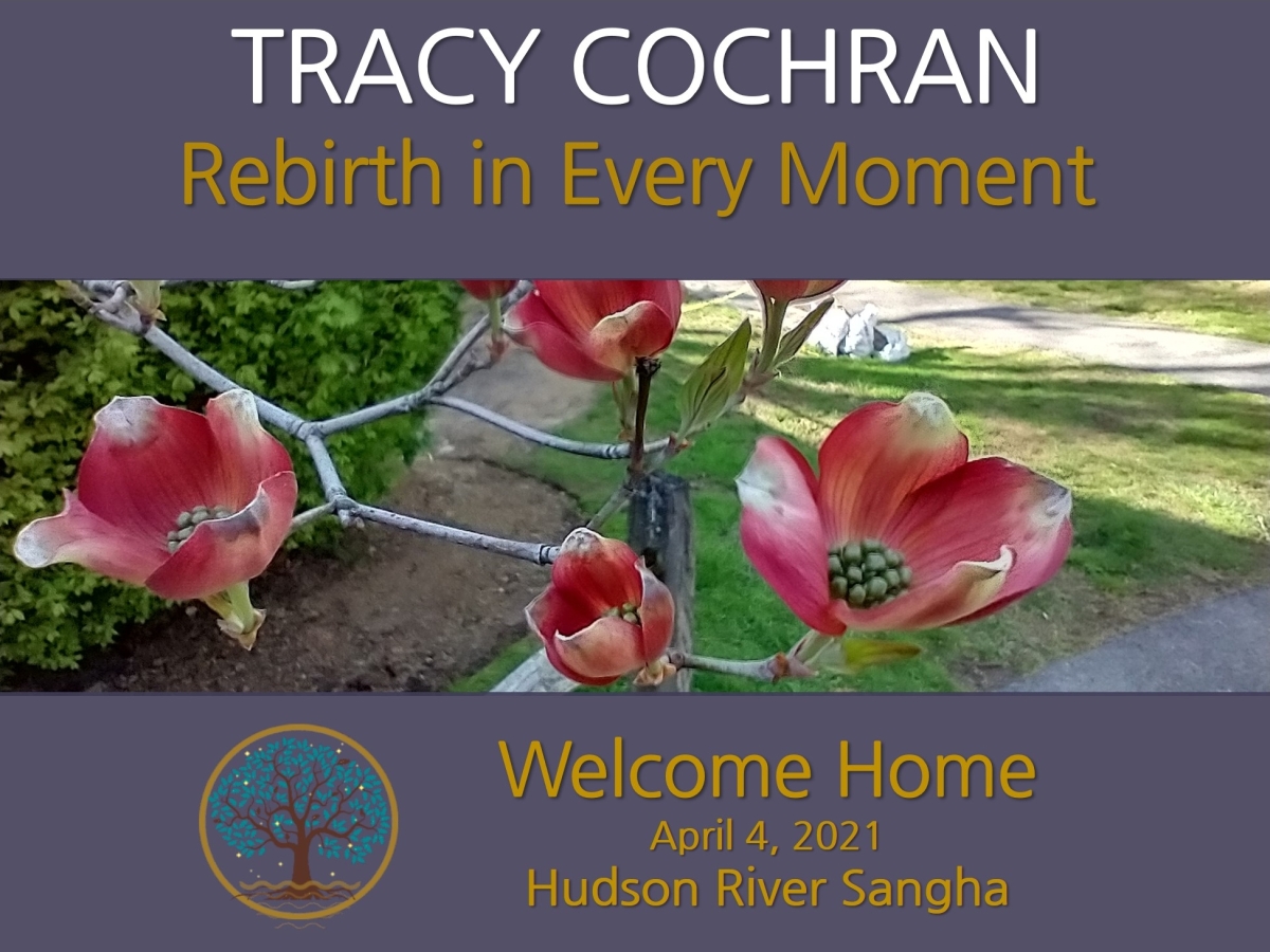 Rebirth in every moment: a guided meditation