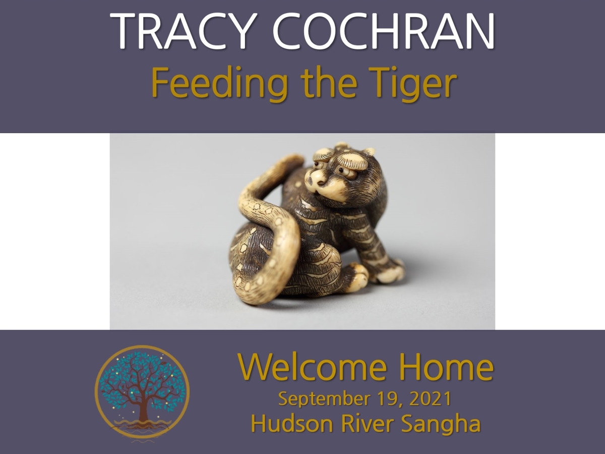 Feeding the Tiger: a guided meditation