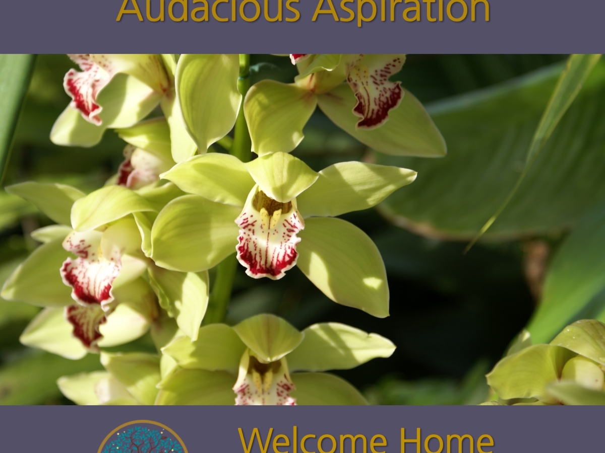 Audacious Aspiration: a meditation podcast