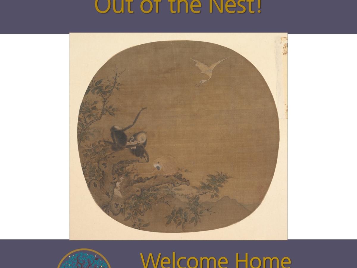 Out of the Nest!: a meditation podcast