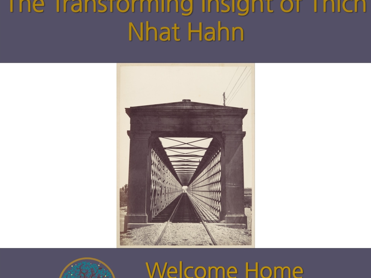 The Transforming Insight of Thich Nhat Hahn: a guided meditation